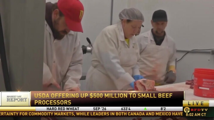 USDA Launches SPUR Aid Program for Smaller Beef Processors - RFD