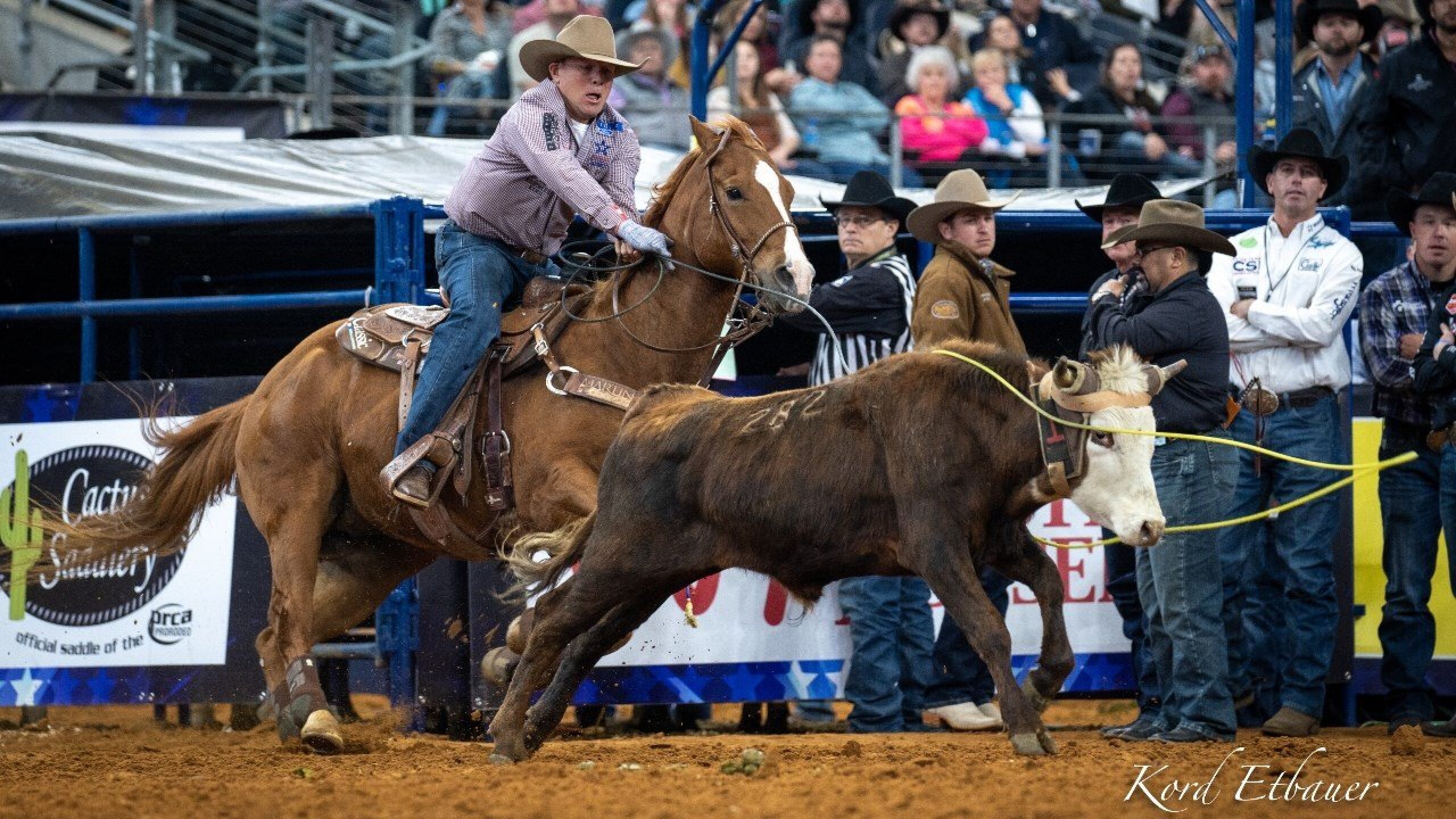 Photo Gallery: A weekend of team roping at AT&T Stadium - RFD-TV