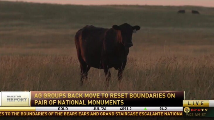 Federal Grazing Access Expands as Trump Administration Shrinks Utah National Monuments