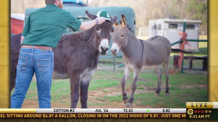 FFA Today: Travel to East Texas for Experiential Learning with the ...