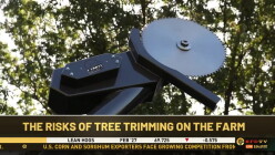 tF1LPKgI.jpg