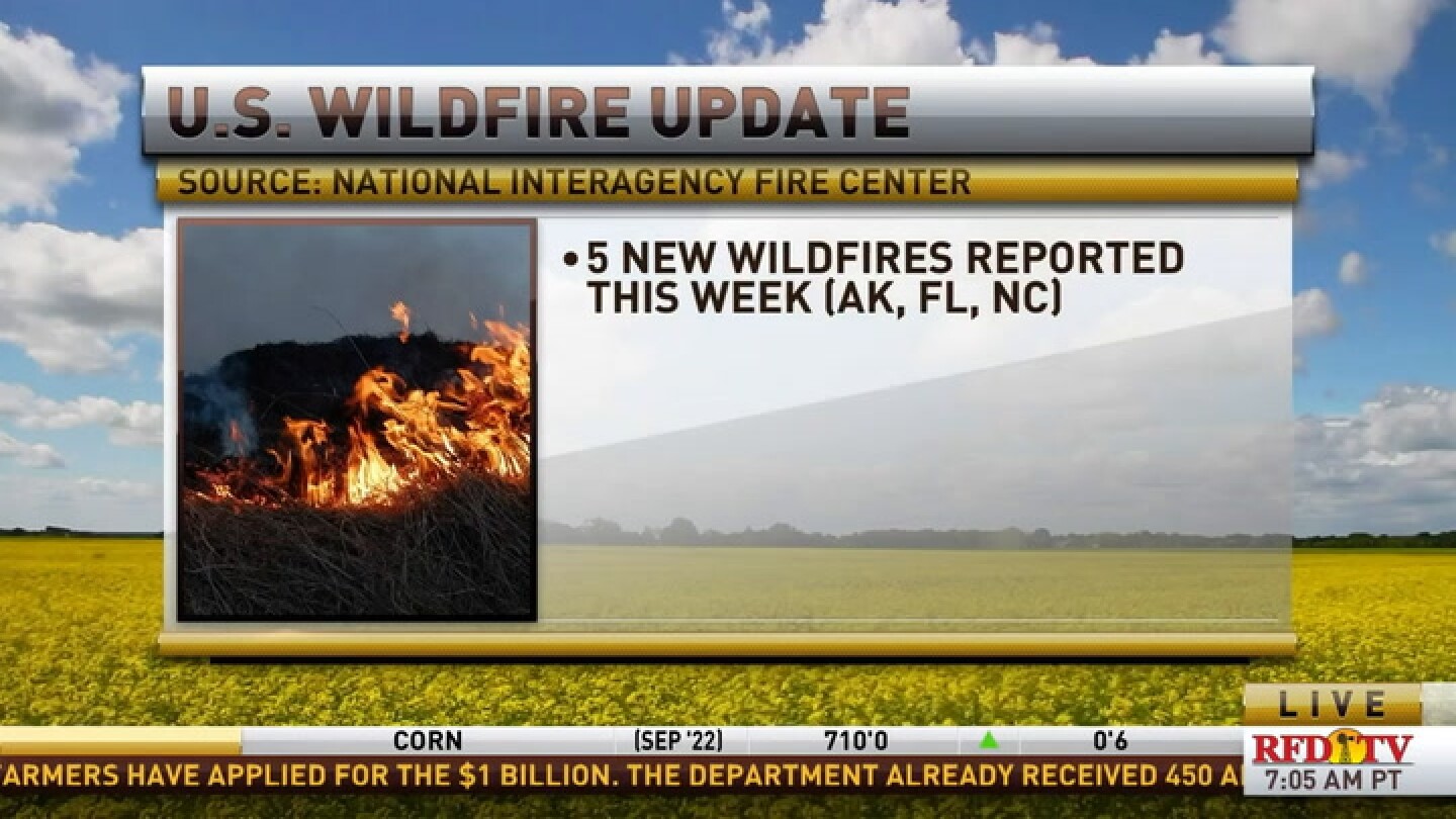 How many wildfires are burning right now in the U.S. and how can they