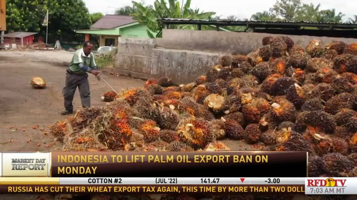 Indonesia will lift its palm oil export ban RFDTV