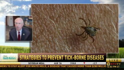 wJvqIF5U.jpg