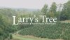 LarrysTree_1920x1080.jpg