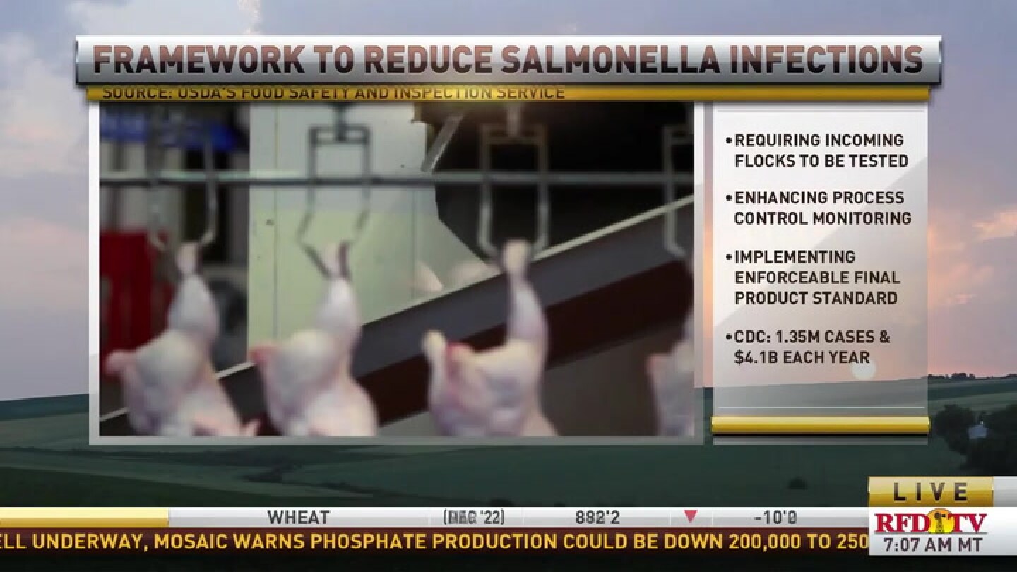 USDA releases plan to reduce salmonella in poultry, but it's getting