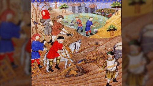 Medieval agriculture