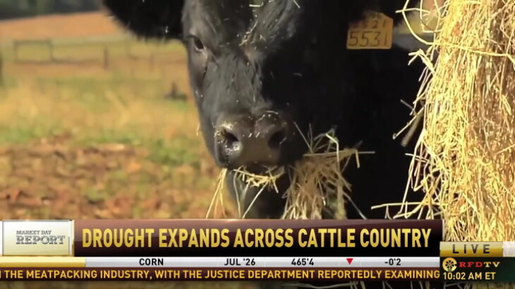 Consumers Keep Buying Beef Despite Record Prices as Drought Expands ...