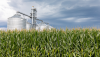 corn grain silo stock photo_input costs and producer inflation_adobe stock.png