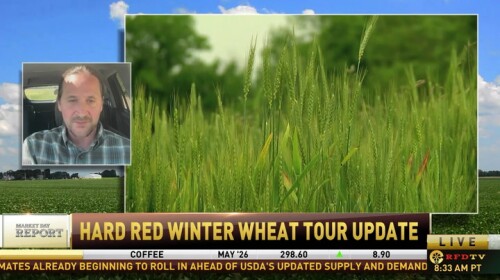 WrGTPiPX.jpg