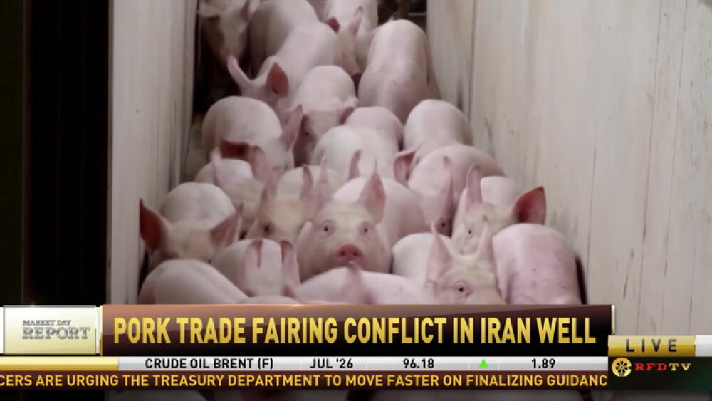 pY3dSRCi.jpg