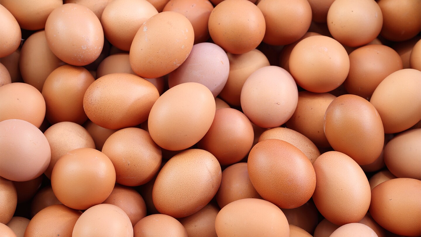 Fresh eggs for sale at a market. Photo by geargodz via AdobeStock_71577018.jpg
