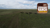 working ranch radio show.png