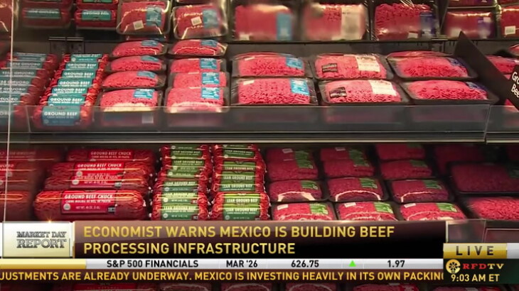 Border Closure Fuels Mexico’s Beef Processing Expansion as U.S. Herd ...
