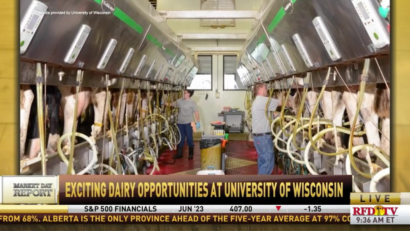 Wisconsin students get exciting opportunity to study with certified Holsteins - Vimarsana News
