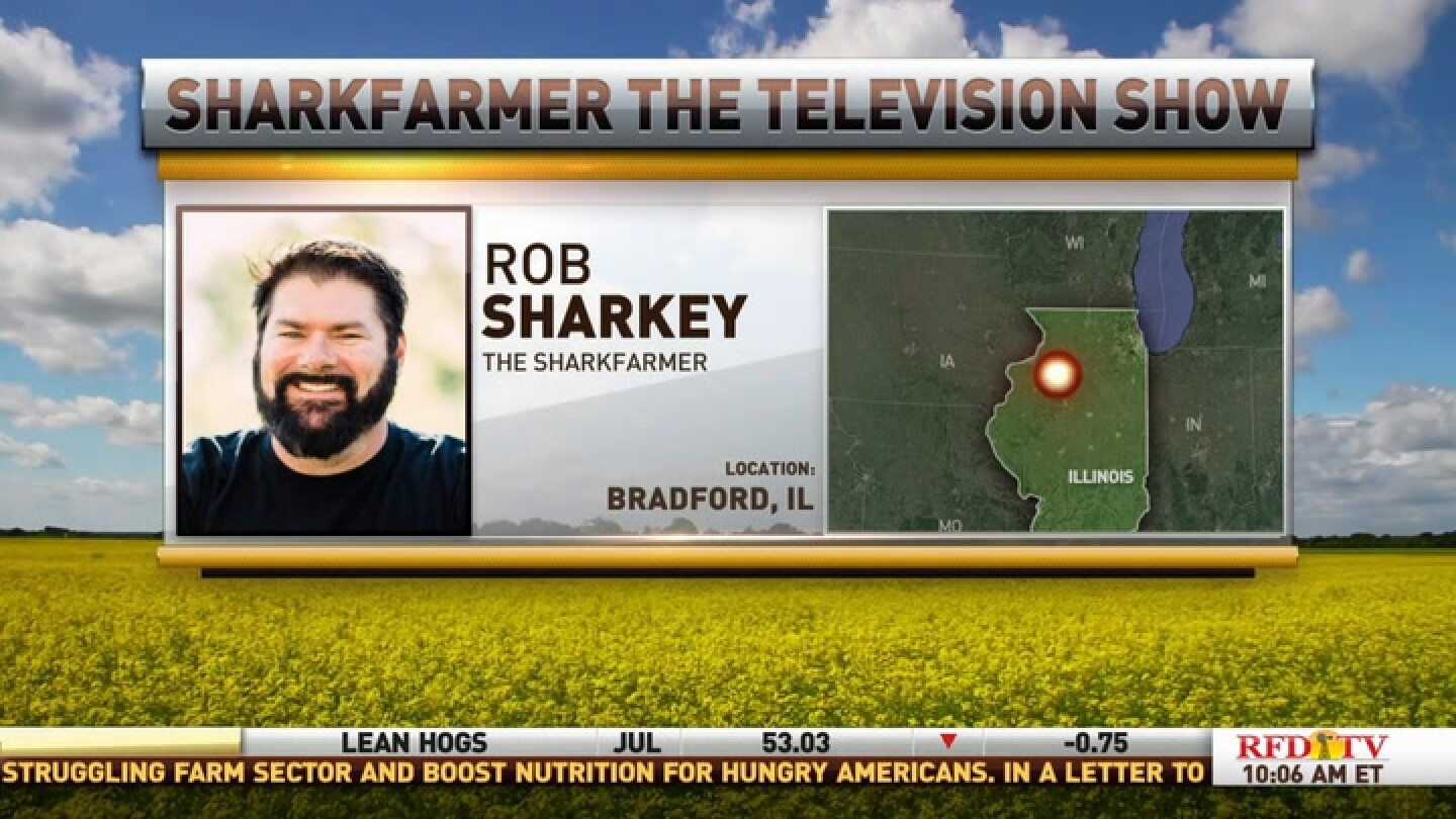 Interview with the Shark Farmer RFDTV