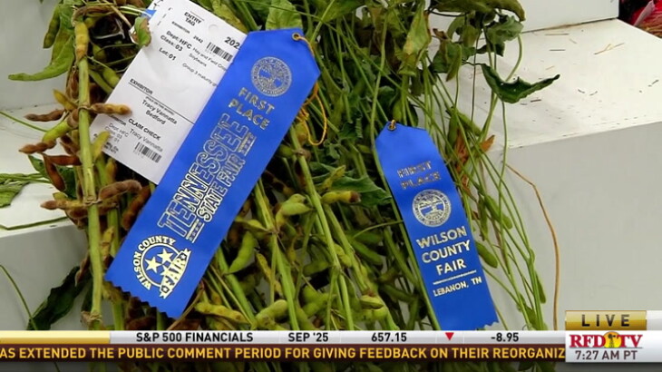 What Really Wins a Blue Ribbon? Behind the Scenes at the Tennessee ...