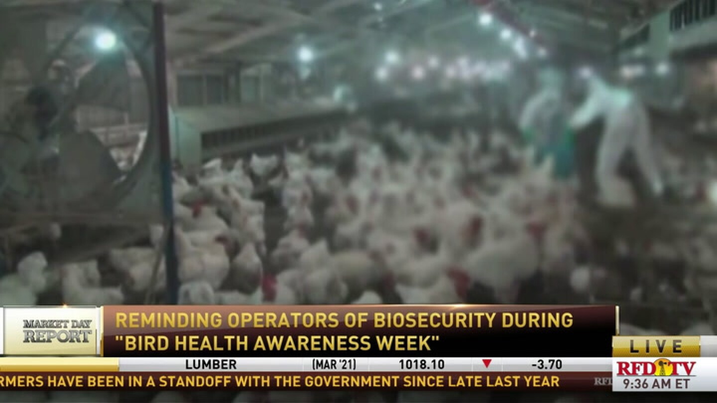 Remind operators of biosecurity during "Bird Health Awareness Week