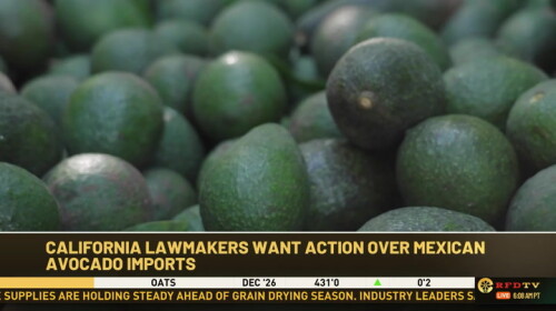 weMF3DfL.jpg
