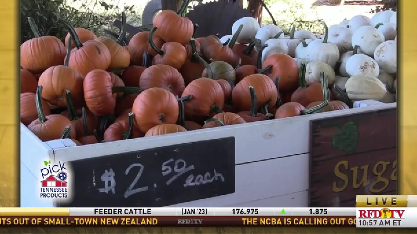 Lyon Family Farms is ready for pumpkin patch season! RFDTV