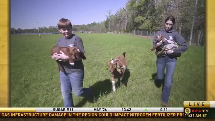 FFA Today: SAE Projects Offer North Carolina Students a Wide Array of ...