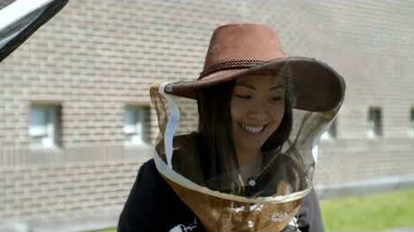 WTFCF S3, E12 Bonus Scene: Where The Honey Bees Come From - Vimarsana News