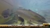 oizWEr6h.jpg