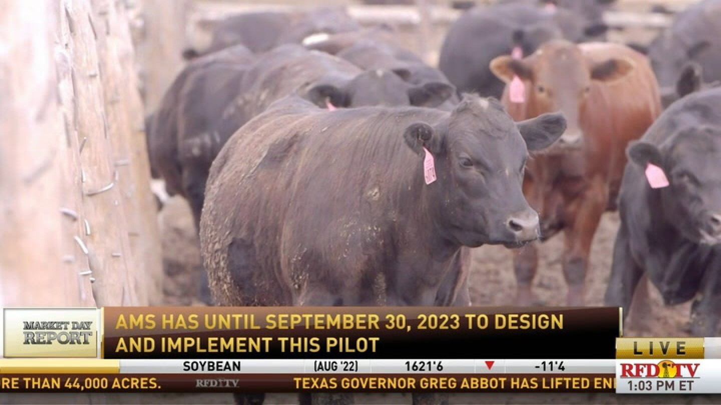 What would a cattle contract library look like? RFDTV