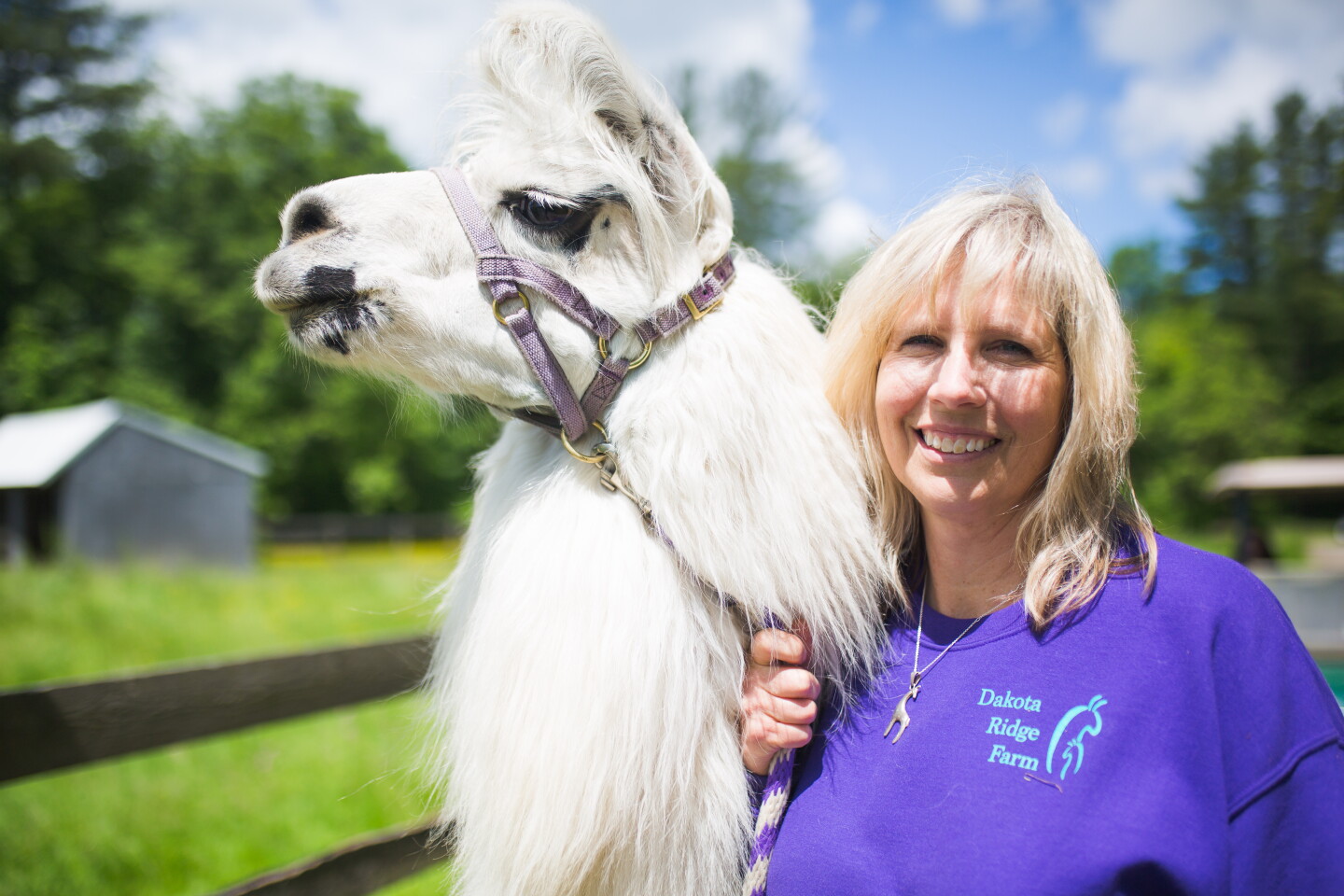Llamas: The Magical, Mystical Creatures - Katrina Capasso - FarmHER ...