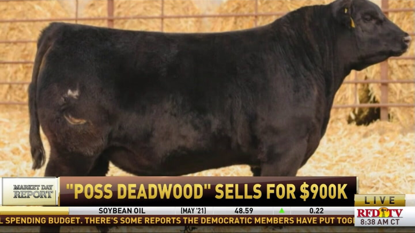 "Poss Deadwood" sells for 900K at auction RFDTV