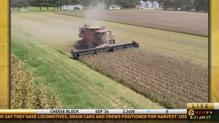 Arkansas Soybean Harvest Begins After Major Acreage Increase