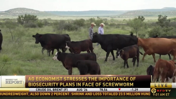 Officials Urge Strong Biosecurity Measures as Texas Screwworm Cases Rise to 15
