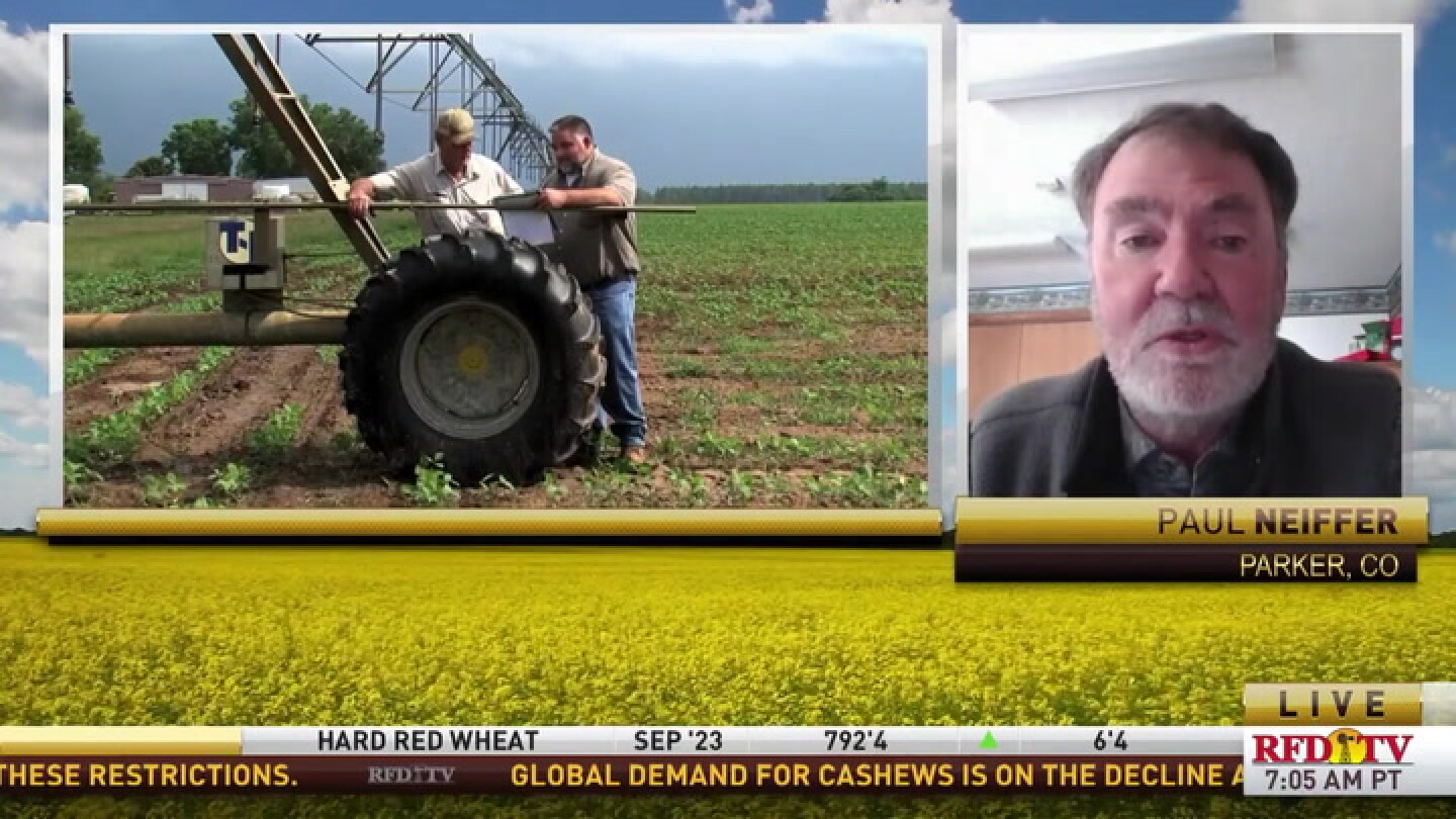 Rural Money: Farm CPA discusses potential crop insurance payouts - Vimarsana News