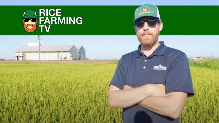Justin Rice Farm Rice Farming TV - RFD