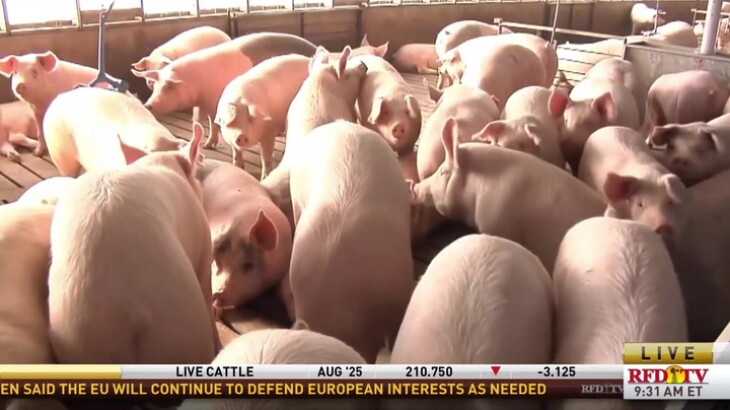 Supreme Court rejects Prop 12 petition from the Iowa Pork Producers