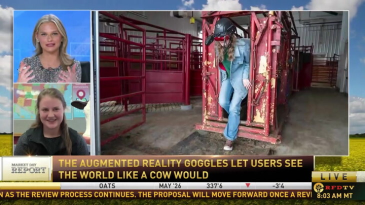 What If You Could See Like a Cow? Wisconsin Researchers Are Making It Possible With VR Technology