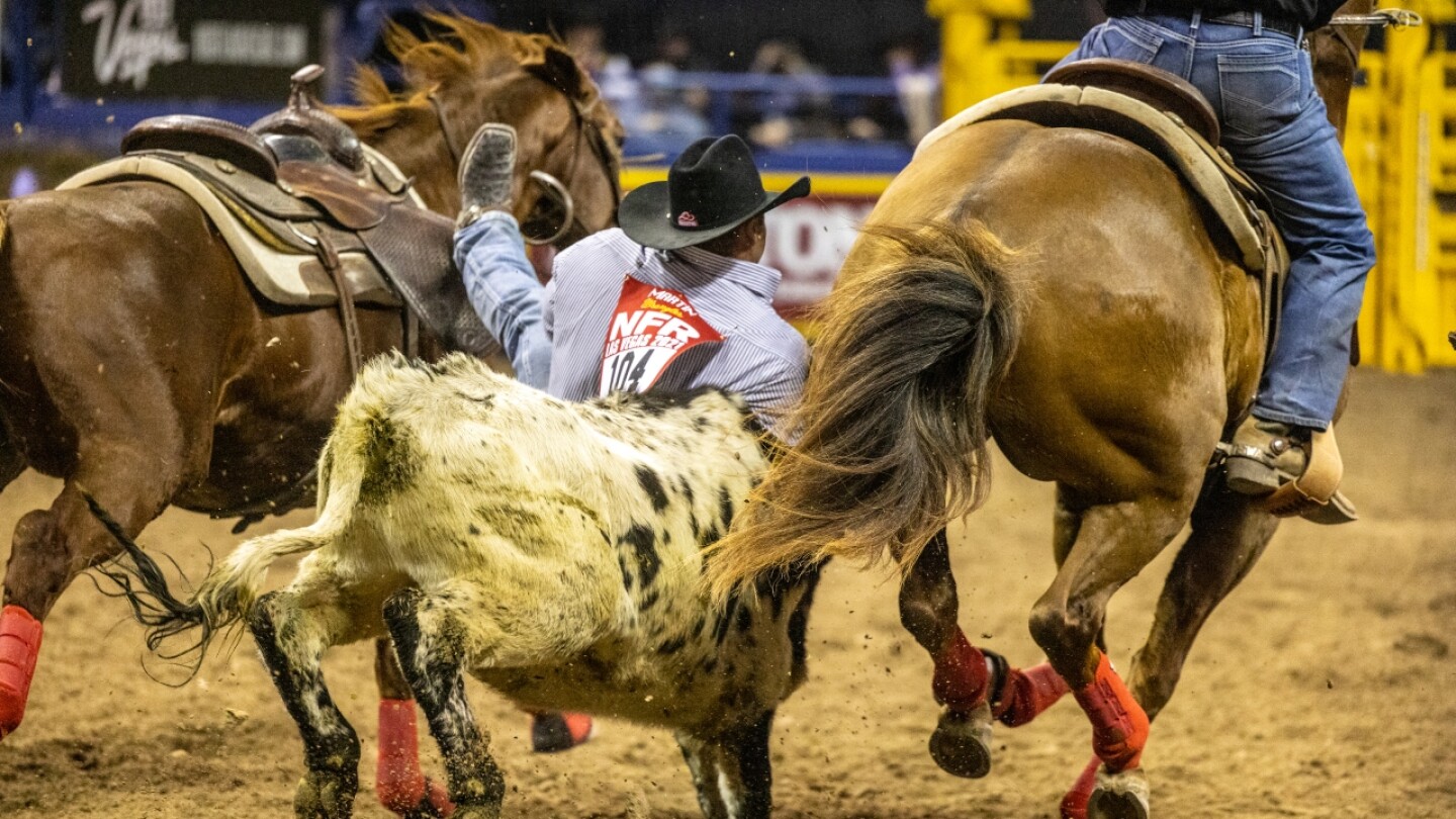 PRCA Steer Wrestling Standings Update Stetson Makes Moves