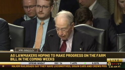 Fl7CEOOU.jpg