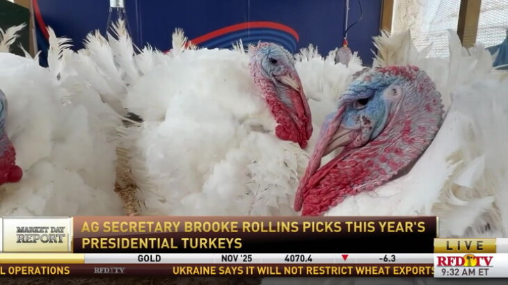 Pardon Me: Inside the Selection and Presidential Pardoning of This Year ...
