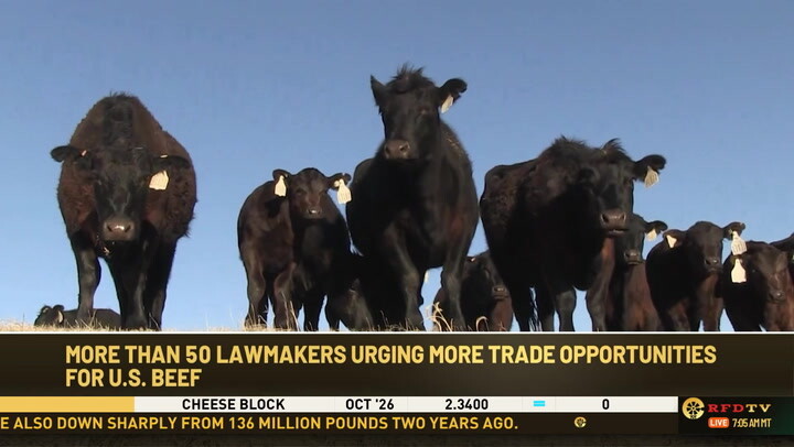 US Beef Tariff Cuts Create $2.3B Import Arbitrage Window | Sellers Face Supply Chain Disruption