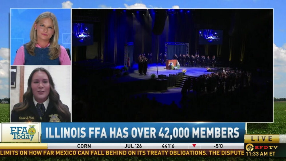 8EE0TVFW.jpg