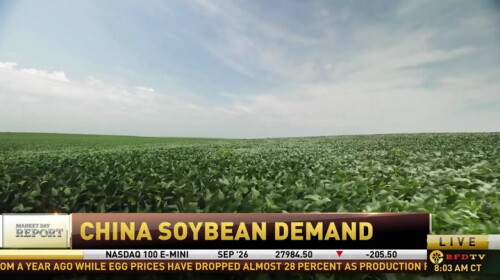 TBk0zrYt.jpg