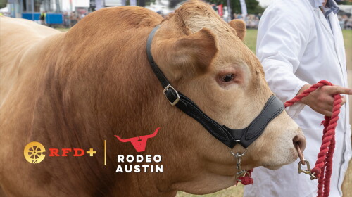 Rodeo Austin Livestock Show Live Streaming Schedule - RFD