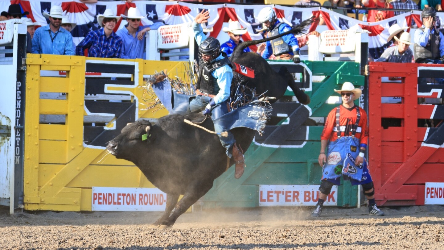 PRCA Bull Riding Standings Update Tristen Hutchings and Jared