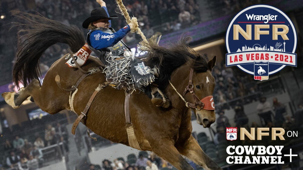 Nfr Payout Climbs To Record 13 3 Million The Cowboy Channel Nfr Payout Climbs To Record 13 3 Million The Cowboy Channel