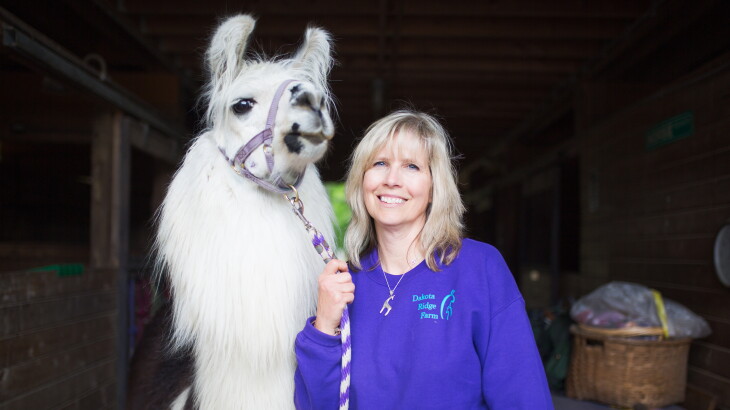 Llamas: The Magical, Mystical Creatures - Katrina Capasso - FarmHER ...