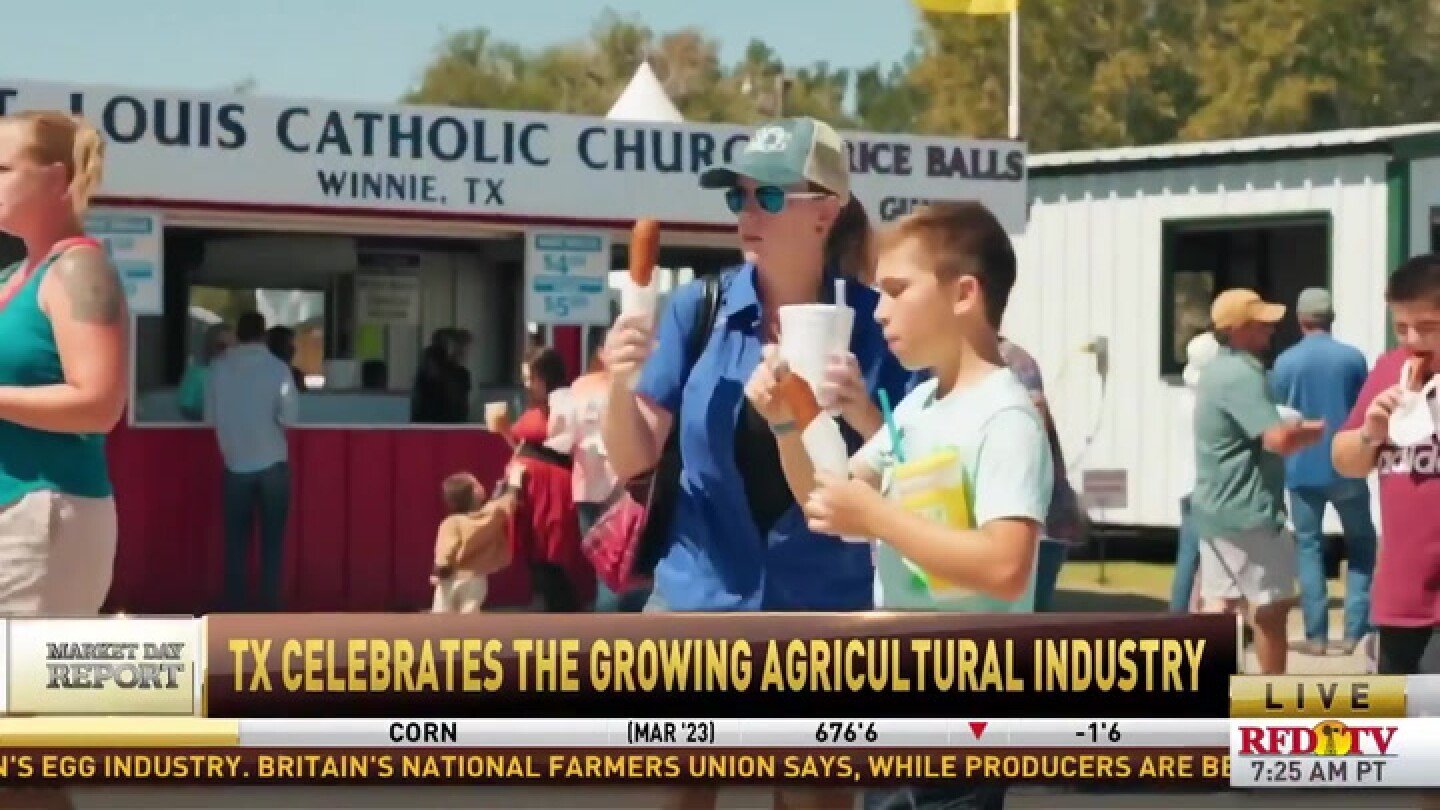 A Reason To Celebrate Let's visit some Texas festivals that shine a