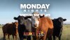Mondays-WesternWayOfLife_1920x1080.jpg