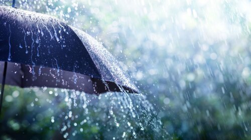 An umbrella in the rain