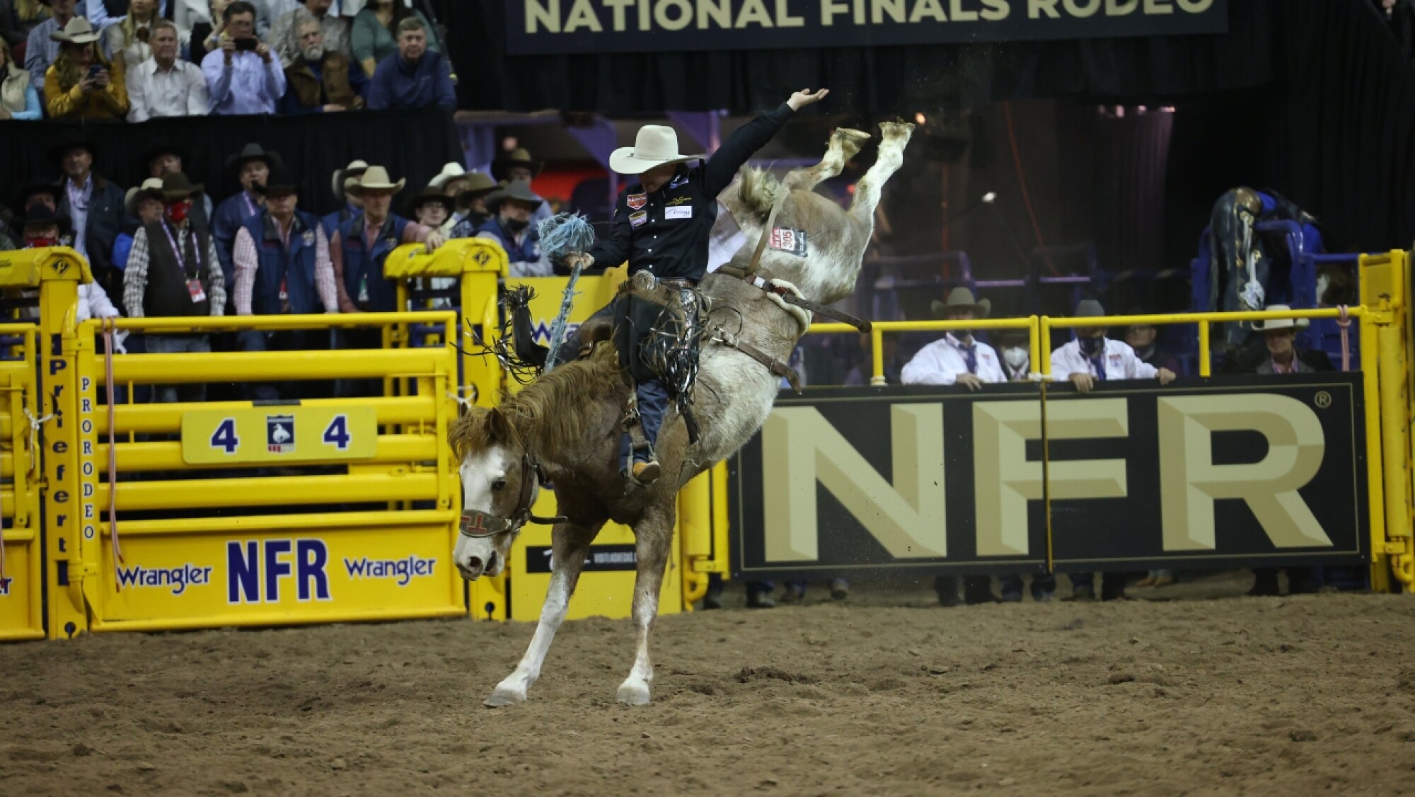 PRCA Saddle Bronc World Standings Update Dawson Hay and Kade Bruno